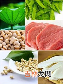 猪横利的功效与作用,猪横脷有作用和功效？
