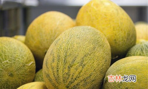 哈密瓜吃多了会如何,哈密瓜吃多了会怎么样