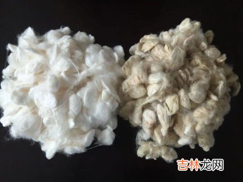 柞蚕丝是什么材质,丝绸为什么材料 丝绸是什么材料做的呢