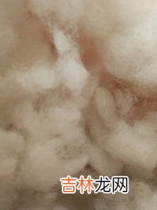 柞蚕丝是什么材质,丝绸为什么材料 丝绸是什么材料做的呢