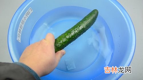 保存黄瓜不用放冰箱,青瓜要放冰箱冷藏吗