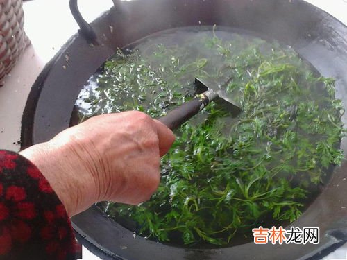 艾叶洗头粉怎么制作,艾草的洗头方法 以及艾草的功效