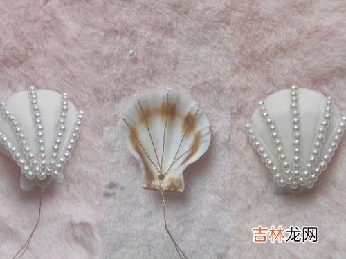 贝壳项链是什么牌子的,贝母项链是什么牌子