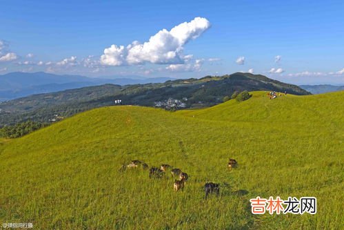 紫金山海拔多少米高,南京旅游景点紫金山