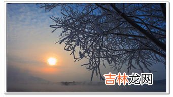 忽如一夜春风来千树万树梨花开是什么季节,忽如一夜春风来,千树万树梨花开。是描写什么季节的?