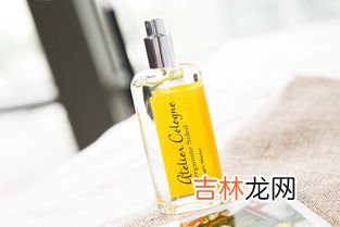 loreal是什么牌子,欧莱雅集团旗下的品牌有什么?