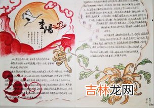 重阳节手抄报内容30字,重阳节手抄报内容
