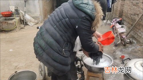 鸡蛋零下几度会冻坏,鸡蛋在有窗户的库房,室外温度在零下七度会不会被冻坏了?
