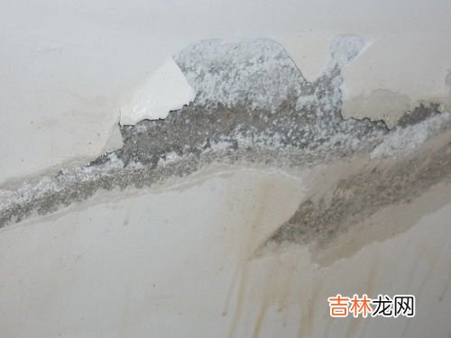 如何处理墙壁渗水,水泥墙渗水怎么处理