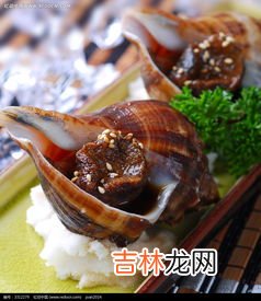 煮海螺做法步骤,海螺怎么煮好吃又简单