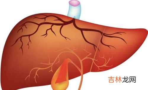有什么症状就看出肝脏不好,肝不好的人,身体有哪些表现?