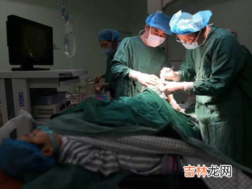 腭部是哪里,白鳍豚是中国哪里特有的?