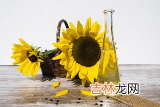 橄榄油跟菜子油的区别,橄榄油与其他它食用油有什么不同？