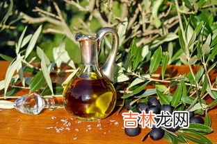 橄榄油跟菜子油的区别,橄榄油与其他它食用油有什么不同?