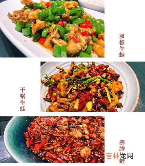 牛蛙是海鲜吗,牛蛙属于海鲜吗?