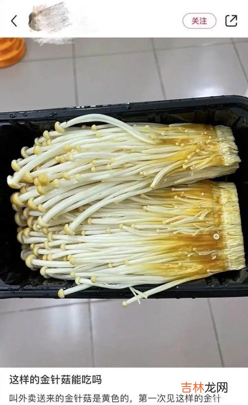 金针菇冻了之后还能吃吗,金针菇冻了还能吃吗