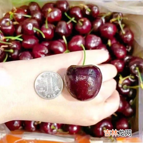 车厘子有4j吗,车厘子3j和4j什么意思