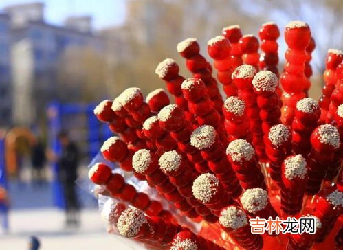 被冻成冰糖葫芦的多肉,冰糖葫芦在冰箱冷冻最多能放几天 冰糖葫芦是什么水果做的