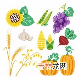 动物结缔组织和肉皮中的胶质蛋白属于,什么是完全蛋白,什么是不完全蛋白?