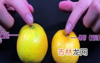 橘子掉色染手怎么回事,用酒精擦完手后剥橘子手变色怎么办?