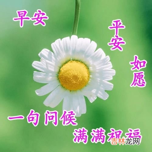 祝福朋友的诗句,祝福朋友的诗句