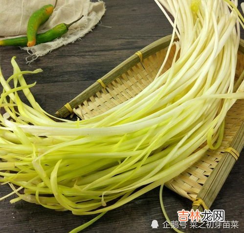 韭黄如何保存时间长,韭黄可以放几天 韭黄可以放多久