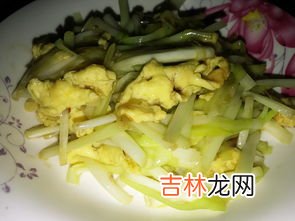 韭黄如何保存时间长,韭黄可以放几天 韭黄可以放多久