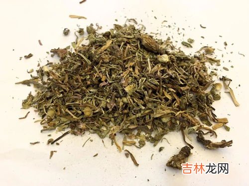 败酱草的功效与作用及禁忌,川大黄的功效与作用，川大黄的副作用