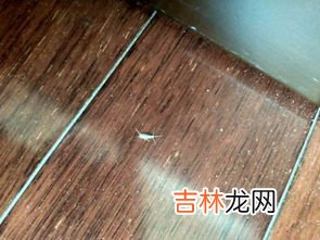 瑜伽垫味道太冲是有毒吗,为什么瑜伽垫的气味都很重，对人体有害吗？