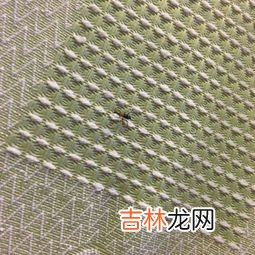 瑜伽垫味道太冲是有毒吗,为什么瑜伽垫的气味都很重,对人体有害吗?