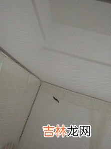 瑜伽垫味道太冲是有毒吗,为什么瑜伽垫的气味都很重,对人体有害吗?