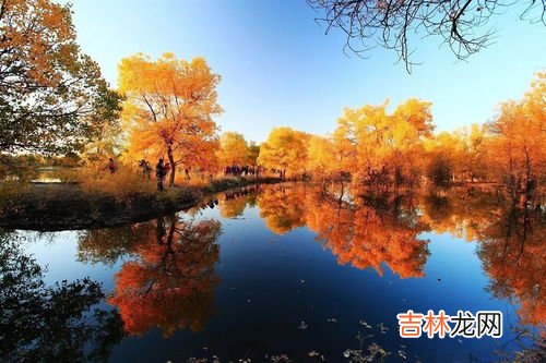 胡杨林在哪个省哪个市,甘肃胡杨林在什么地方