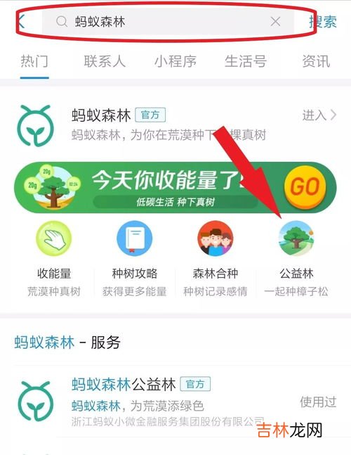 公益林什么意思,支付宝蚂蚁森林明星公益林什么意思？