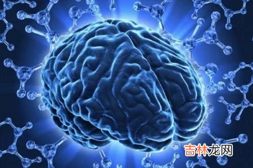 什么是小分子活性肽,什么是人参小分子活性肽？