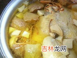 竹荪鸡汤禁忌窍门,竹荪食用方法及禁忌