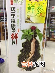 人参肽的功效和作用,人参肽对糖尿病有效果吗