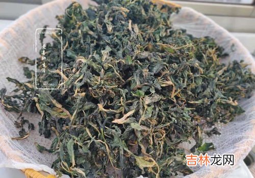 鲜丁香花如何晒干保存比较合适,丁香开花香味非常的好闻，如何能让它延长花期？