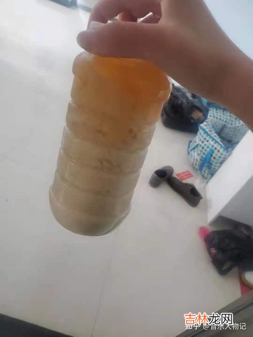 如何辨别真假的蜜蜂,怎样识别蜂密真假