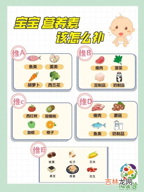儿童综合营养素,幼儿需要的六种营养素