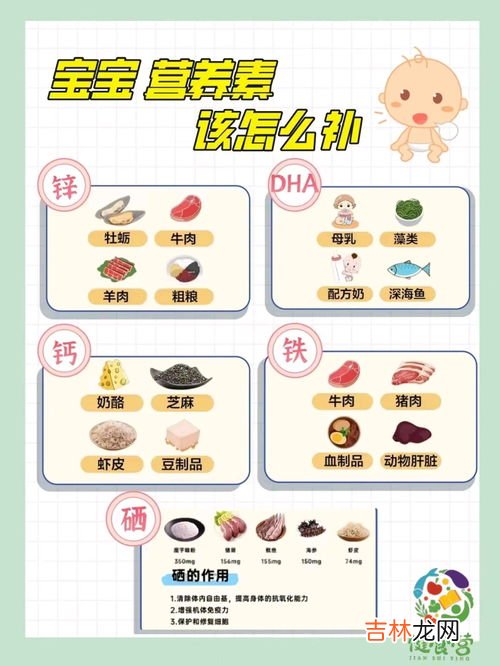 儿童综合营养素,幼儿需要的六种营养素