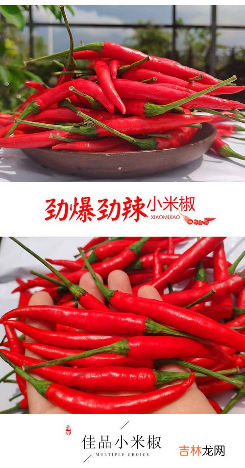 海花红辣椒和小米椒区别,市场里哪种红辣椒比较辣啊?做辣椒酱用的。