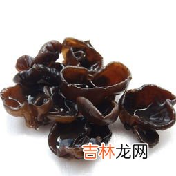 木耳是什么菌类,木耳属于菌类还是藻类？