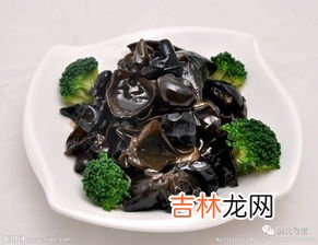 木耳是什么菌类,木耳属于菌类还是藻类？