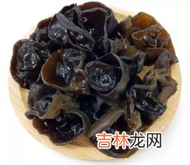 木耳是什么菌类,木耳属于菌类还是藻类?
