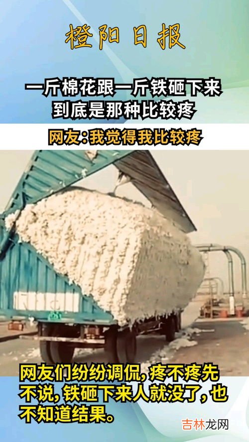 一斤铁和一斤棉花哪个重,一斤棉花和一斤铁哪个重？