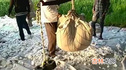 一斤铁和一斤棉花哪个重,一斤棉花和一斤铁哪个重？