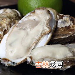 新鲜生蚝可以保存几天,生蚝可以保存多久？