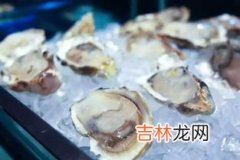 新鲜生蚝可以保存几天,生蚝可以保存多久？