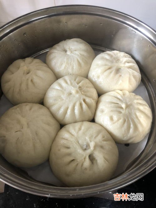 做白菜包子的步骤,大白菜馅包子的家常做法