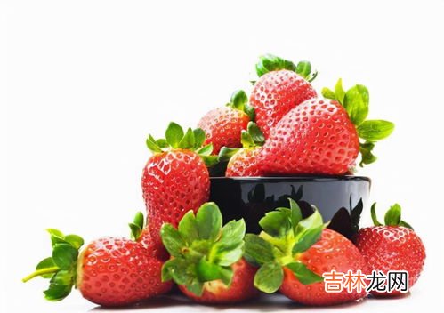 33个草莓寓意,33朵草莓花代表什么意思
